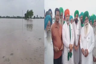 Farmer leader Rakesh Tikait visited the flood affected areas of Mansa