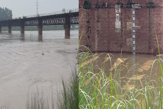 The water level in Beas river in Amritsar increased