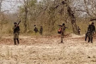 Jharkhand: FIR registered against 12 Maoists in connection with forest tracker murder