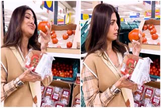 tomato price effects on actress Shilpa Shetty