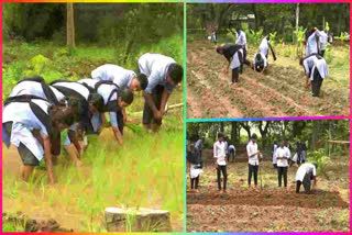 Students Farming
