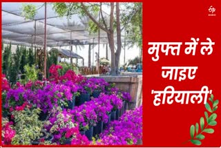 Delhi government distributing 20 plants