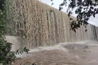 Seelam Janaki Bai Pond in Nizamabad