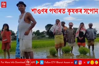 farmers in the paddy field of sawan month