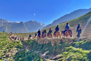 Many social and religious organisations from across the country have set up 'langar' (community kitchen) services for pilgrims of the annual Amarnath Yatra in Jammu and Kashmir, thus becoming a means of sustenance for the yatris.