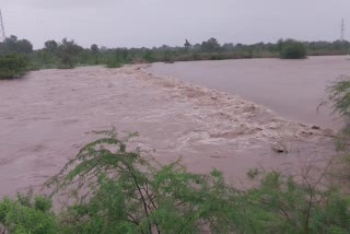 Amreli Rain : અમરેલીમાં ભારે વરસાદથી ઉપરવાસનું પાણી આવતા ડેમો છલકાયાં, તંત્ર દ્રારા લોકોને એલર્ટ કરાયા