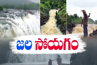 Best Waterfalls in Telangana