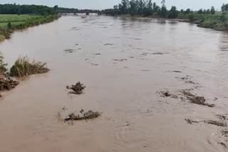 Ambala flood update