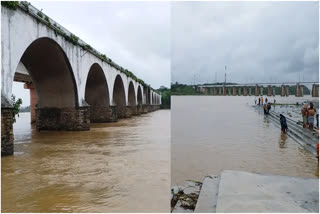 Tungabhadra River is full  a River is full due to heavy rain  heavy rain in the hilly parts  ಮಲೆನಾಡು ಭಾಗದಲ್ಲಿ ಮಳೆ  ತುಂಗಭದ್ರಾ ನದಿಗೆ ಬಂತು ಜೀವಕಳೆ  ಮಲೆನಾಡು ಭಾಗದಲ್ಲಿ ಹೆಚ್ಚು ಮಳೆ  ನೀರಿಲ್ಲದೆ ಬಣಗುಡುತ್ತಿದ್ದ ನದಿಗೆ ಜೀವಕಳೆ  ಶಿವಮೊಗ್ಗ ಜಿಲ್ಲೆಯ ತುಂಗಾ ನದಿ ಭರ್ತಿ  ದಾವಣಗೆರೆಯ ಹರಿಹರದ ಬಳಿ ಹರಿಯುತ್ತಿರುವ ತುಂಗಾಭದ್ರ ನದಿ