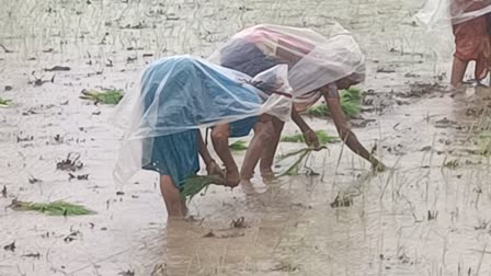 heavy-rain-in-valsad-district-more-than-10-inches-of-rain-in-kaparada-in-24-hours-77-roads-closed