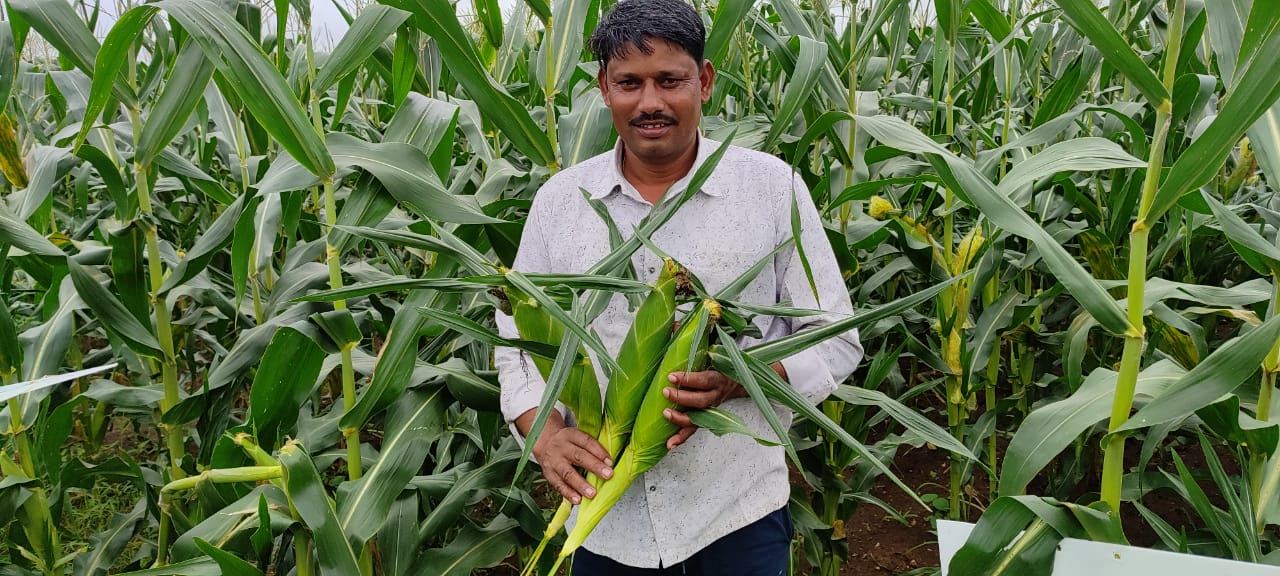 Millionaire Farmers of MP