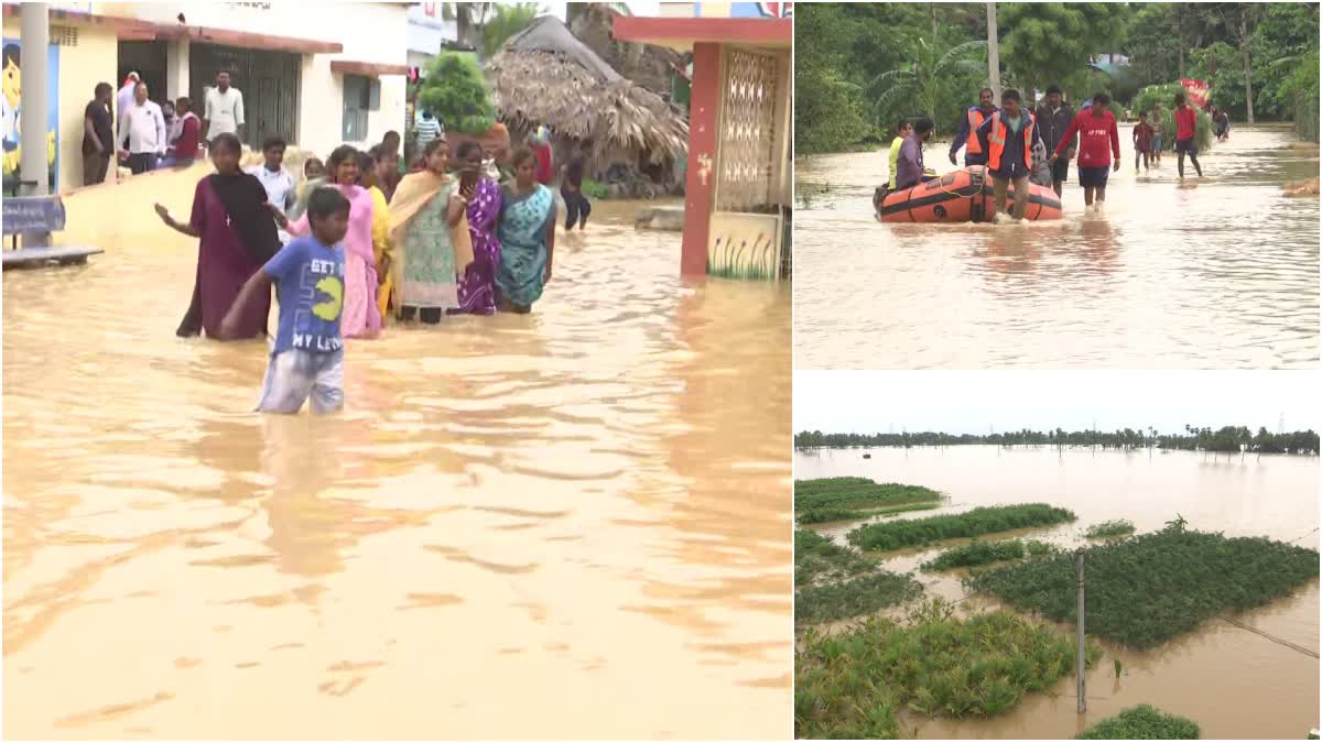 Flood Effect in Andhra Pradesh