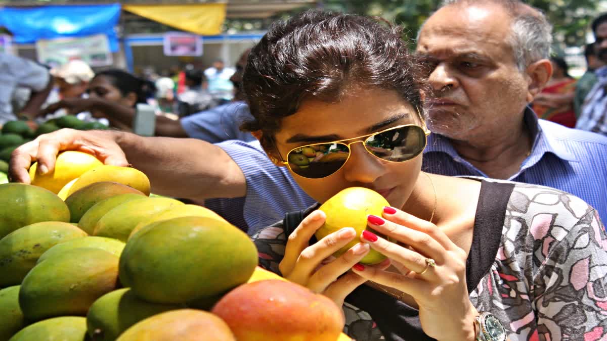 International Mango Festival