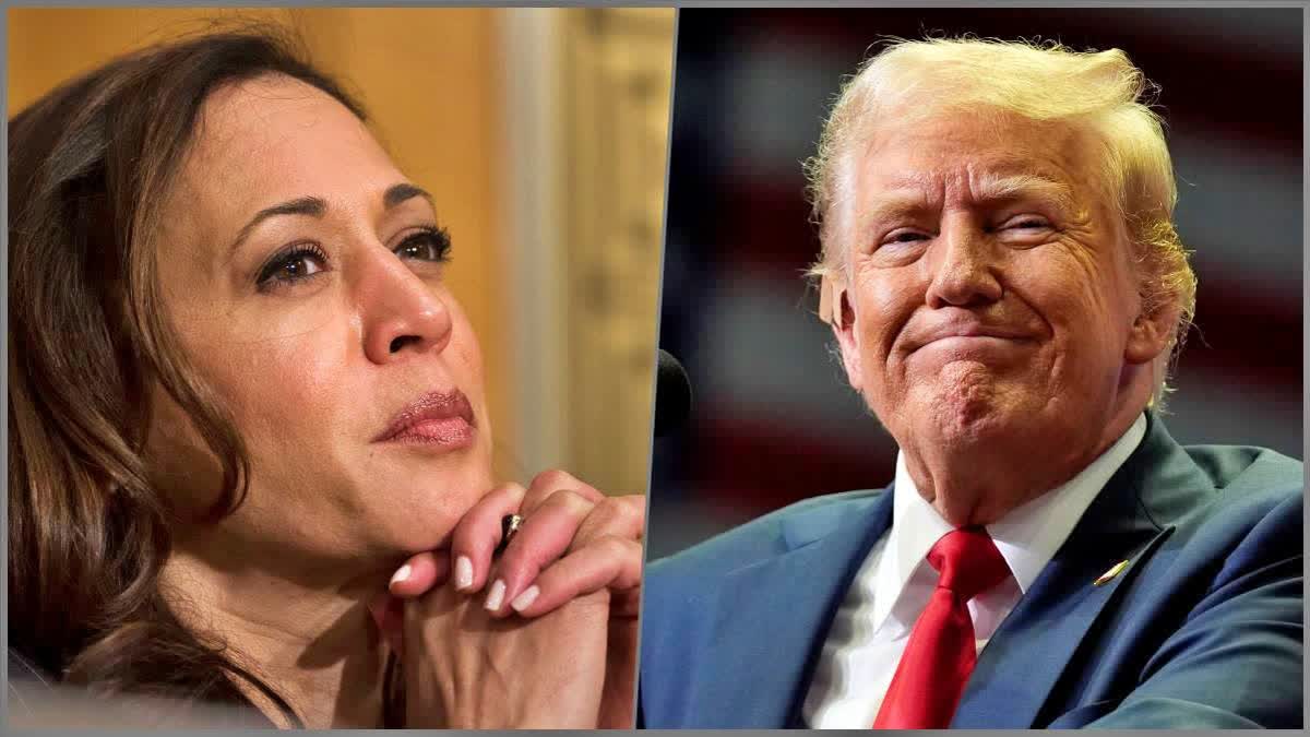 DONALD TRUMP ON KAMALA HARRIS  US PRESIDENT ELECTION 2024  കമല ഹാരിസിനെ പരിഹസിച്ച് ട്രംപ്  അമേരിക്ക പ്രസിഡന്‍റ് തെരഞ്ഞെടുപ്പ്