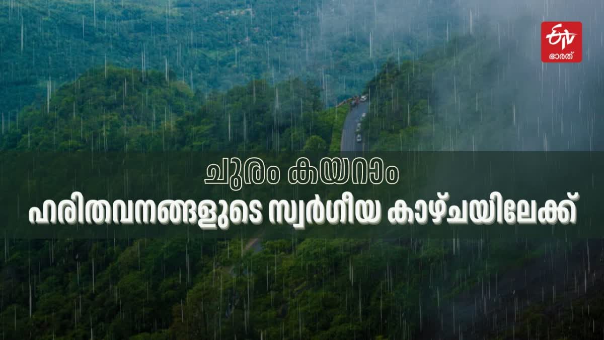 TOURISTS ARE ACTIVE IN WAYANAD  WAYANAD HEAVY RAINS  വയനാട്ടില്‍ വിനോദസഞ്ചാരികള്‍ സജീവം  TOURISTS IN WAYANAD