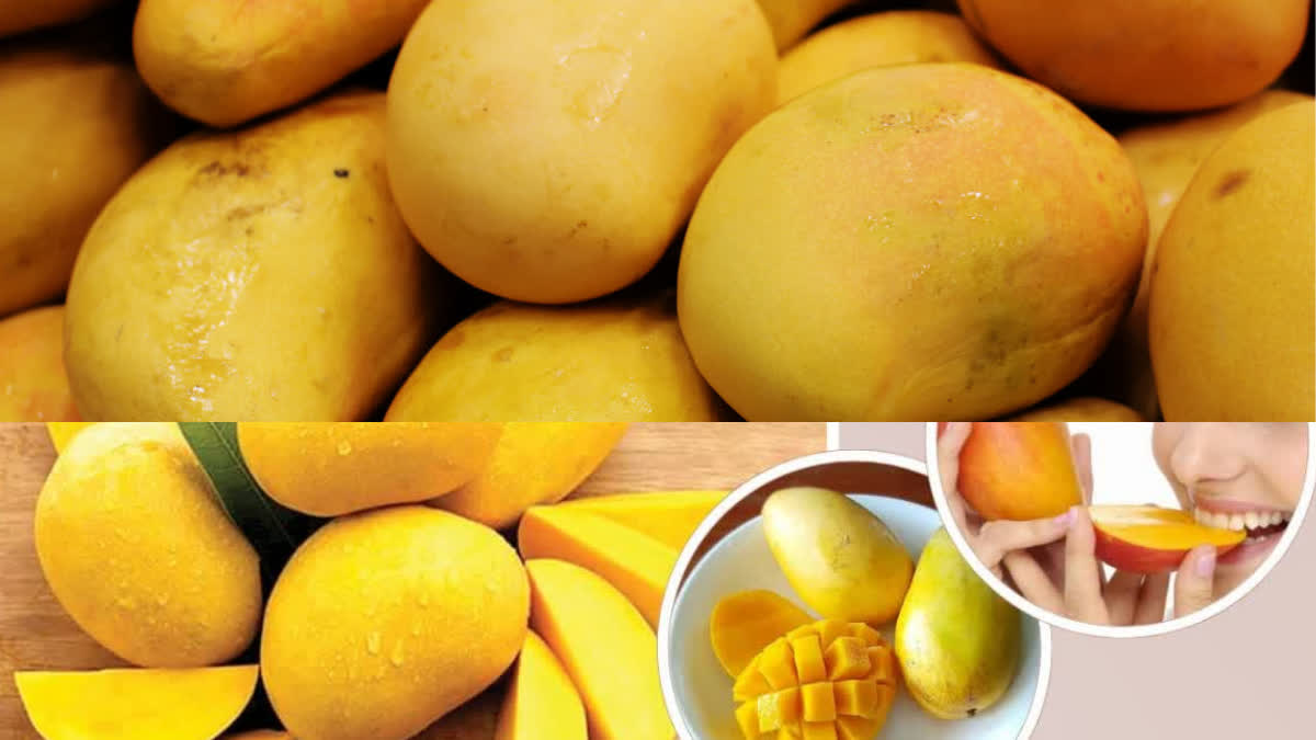 Mango seed benefits