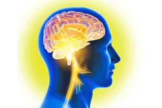 why we clebrating World Brain Day what are the brain nurologic problems