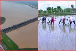 Rainy Season Crops In Telangana