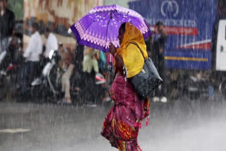 IMD Predicts Rain