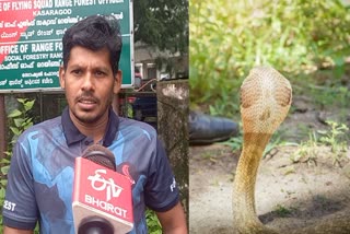 SNAKE ISSUE DURING MONSOON  SNAKES DURING THE RAINY SEASON  മഴക്കാലത്ത് പാമ്പ് ശല്യം രൂക്ഷം  പാമ്പിനെ പിടിക്കാന്‍ സര്‍പ്പ ആപ്പ്