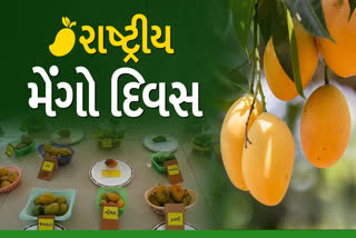 આજે છે રાષ્ટ્રીય મેંગો દિવસ