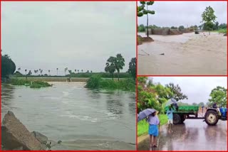 Heavy Rain Impacts in Telangana