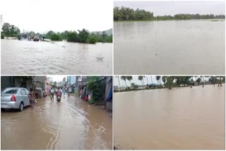 Flood Effect in Andhra Pradesh