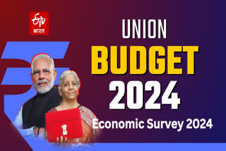 Economic Survey 2024