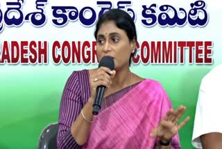 pcc_chief_sharmil_fire_on_jagan