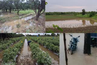 Heavy Rains At Brahmanwada Thadi