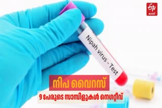 Nipah TEST RESULT IS NEGATIVE  നിപ വൈറസ്  നിപ പരിശോധന ഫലം നെഗറ്റീവ്  കോഴിക്കോട് നിപ വൈറസ്