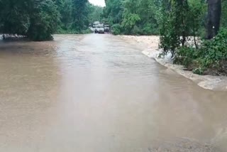 heavy rains in Dhamtari