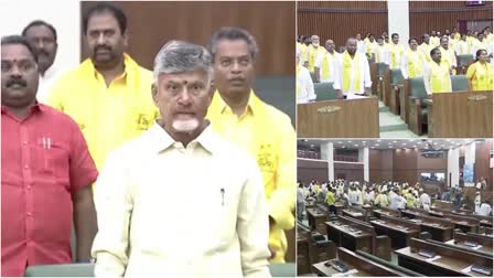 ANDHRA PRADESH ASSEMBLY SESSIONS