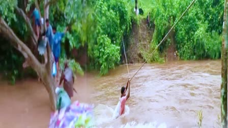 Tribes Built Bridge With Sticks in Middle of the Streams