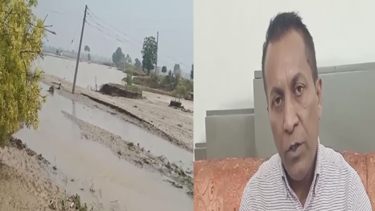 Farmers' crops were destroyed due to dam break in Tarn Taran