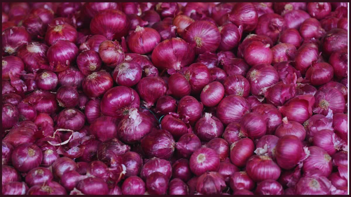 Onion Price