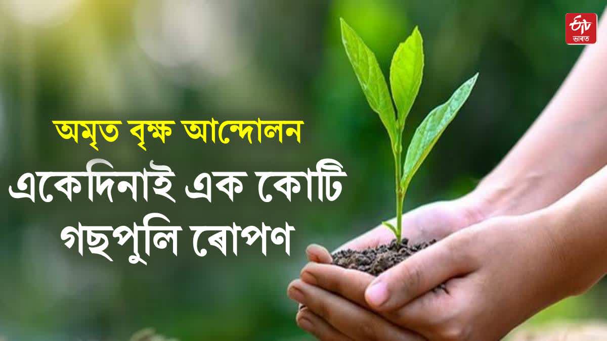 Tree Plantation Campaign