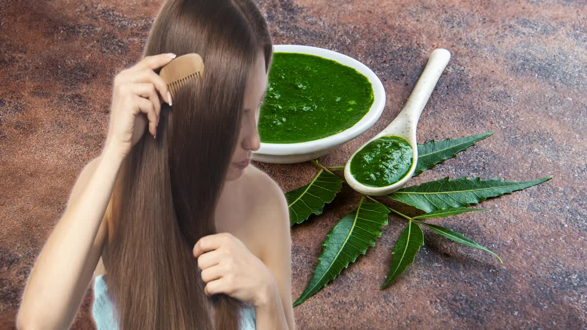 Neem for Hair Care News