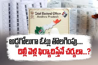No_Action_Against_on_Votes_Deletion_in_AP