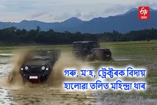 Mahindra Thar