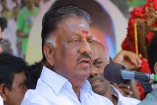 “கனரக வாகன உரிமையாளர்களை திமுக அரசு அலைக்கழிக்கிறது” - ஓபிஎஸ் குற்றச்சாட்டு