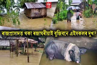 bhado month flood at jonai creates havoc for locals