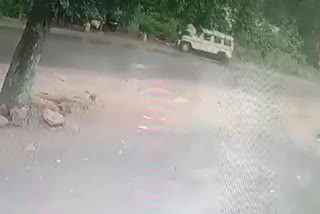 betul road accident