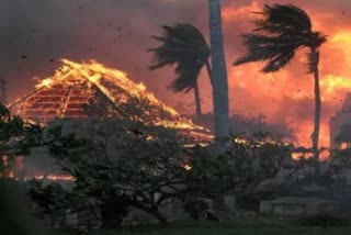 Death toll from Hawaii wildfires rises to 115