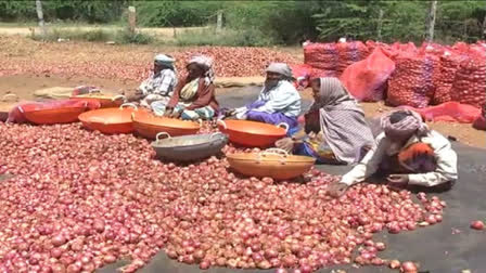 Centre starts onion procurement