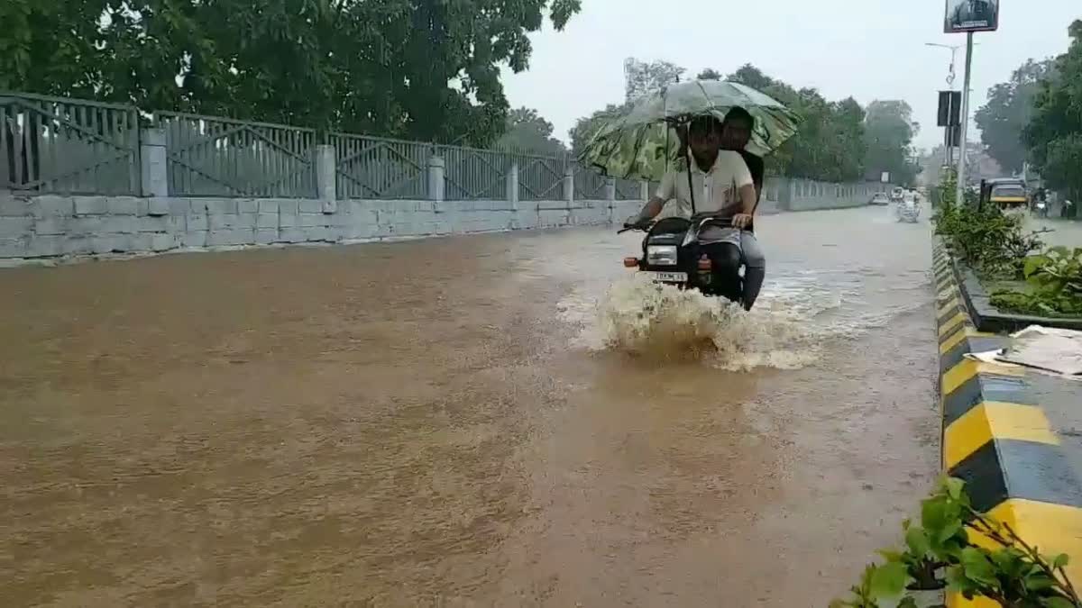 વરસાદના તમામ અપડેટ્સ