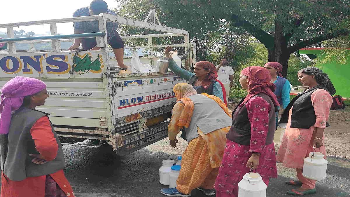 milk purchase Increase in Himachal