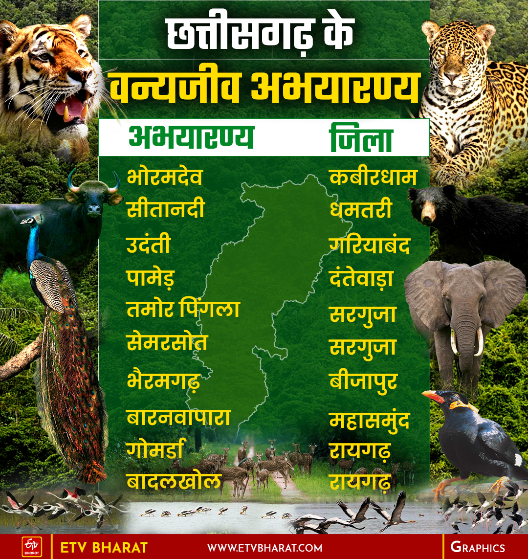 Wildlife Sanctuaries of Chhattisgarh