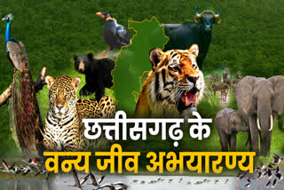 Wildlife Sanctuaries of Chhattisgarh