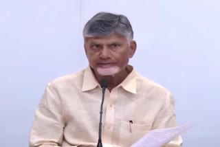 CM Chandrababu Naidu On Atchutapuram SEZ Accident